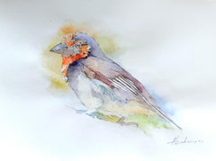 Exotic Bird Watercolor on Paper Handmade Painting, One of a Kind