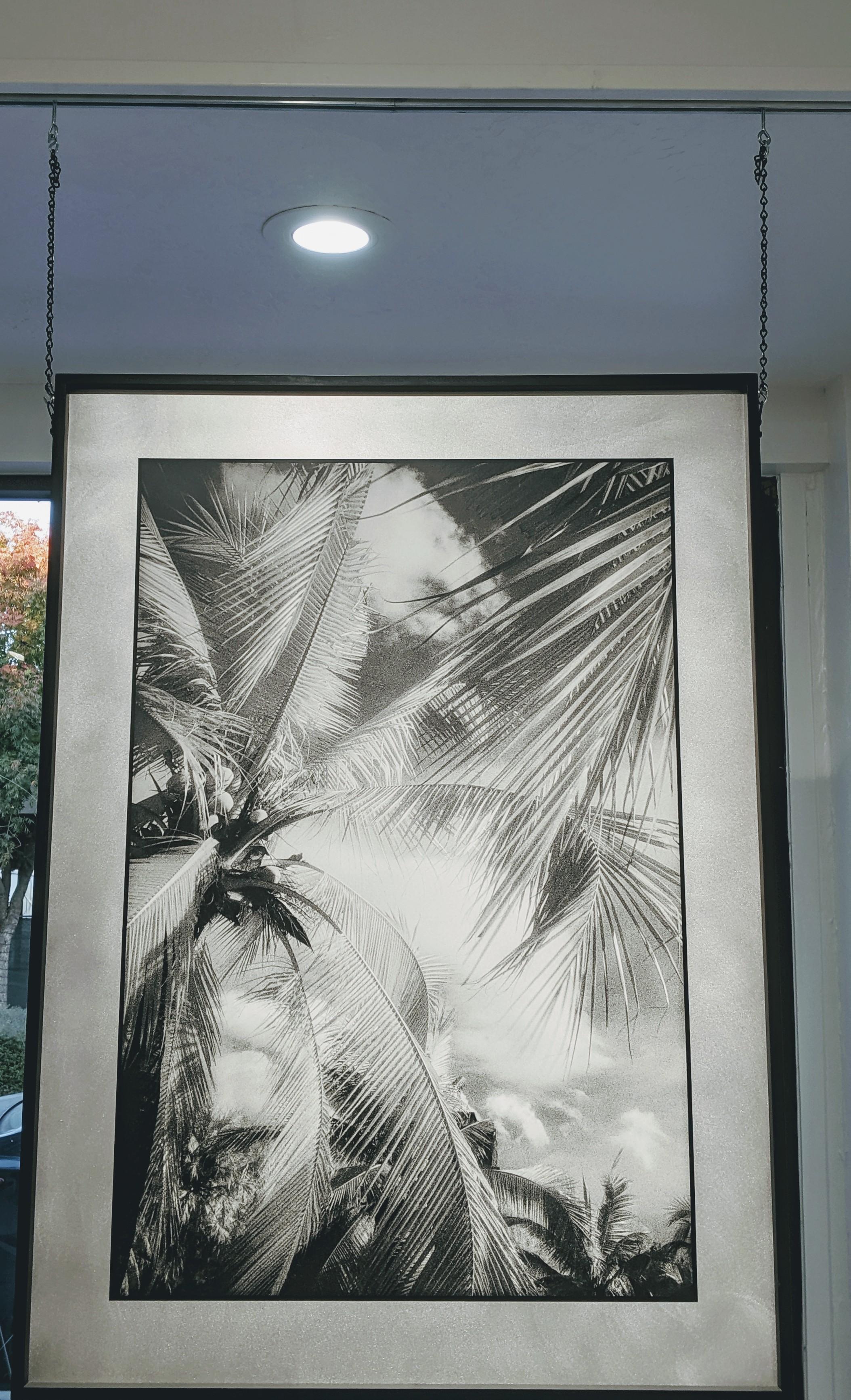 This is a double sided work, that hangs from the sides of the frame.  Alfano has mounted the negative and positive image of 