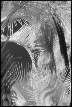 Black and White Photography