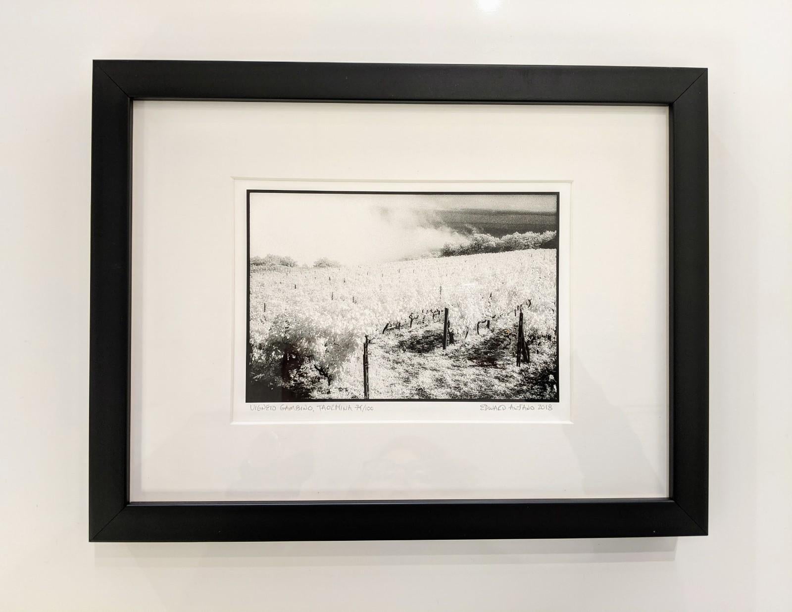 Vigneto Gambino, Taormina, Sicilia - Black & White Landscape of Italian Vineyard - Photograph by Edward Alfano