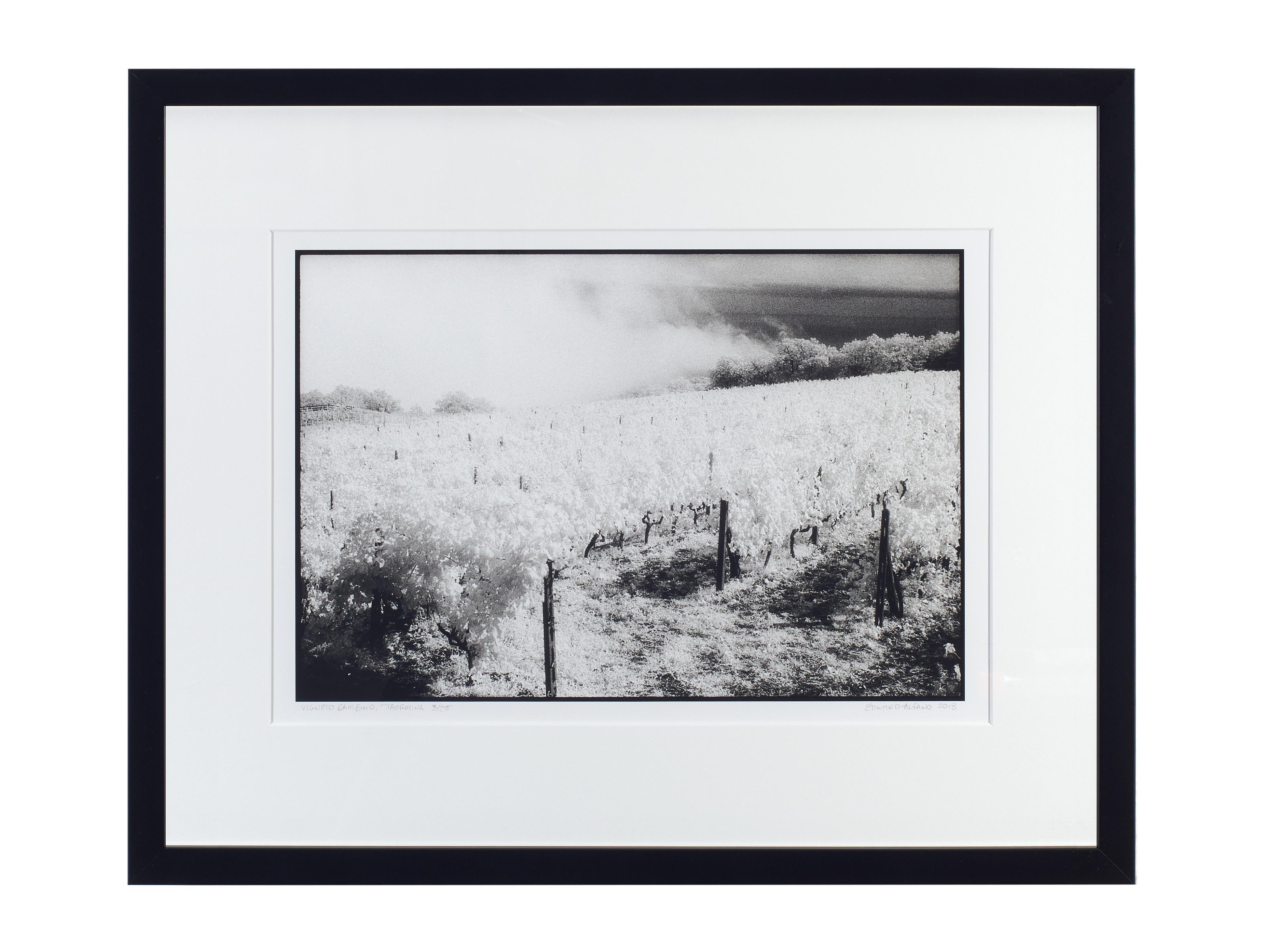 Vigneto Gambino, Taormina, Sicile - Paysage noir et blanc d'un vignoble italien - Contemporain Photograph par Edward Alfano