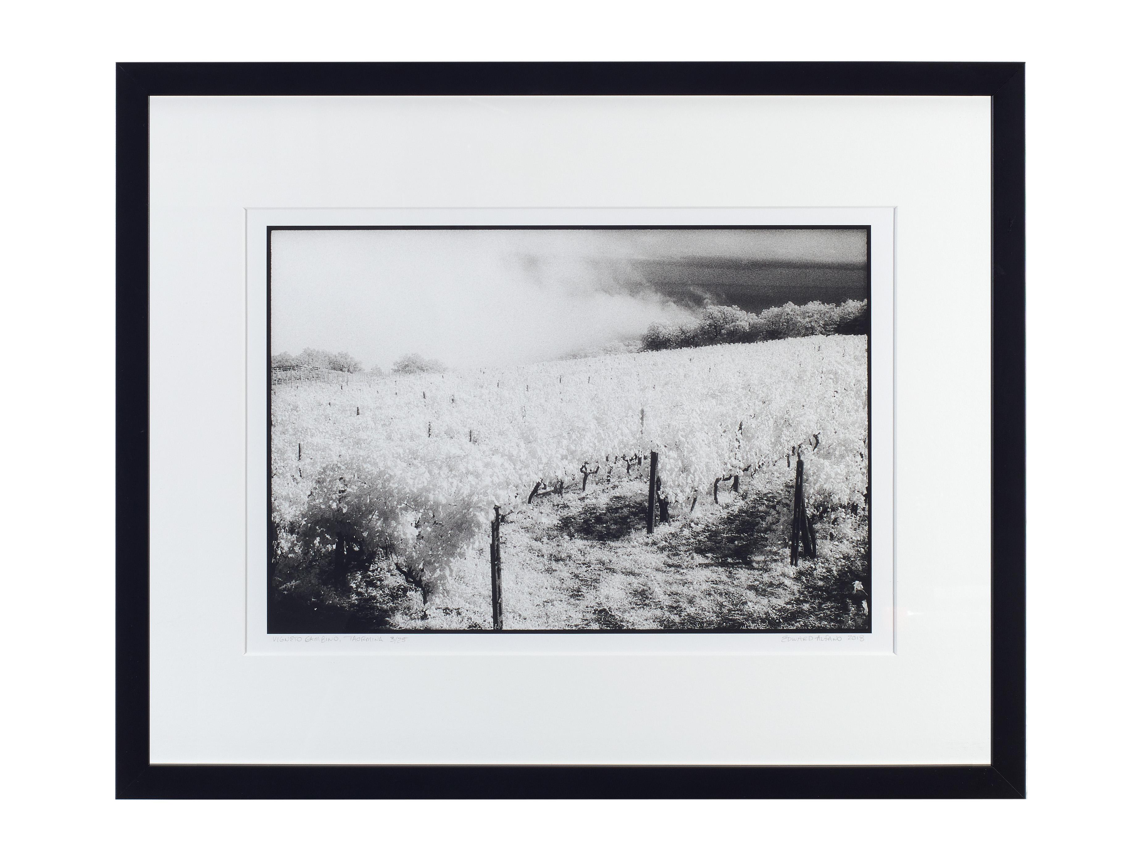 Vigneto Gambino, Taormina, Sizilien - Schwarz-Weiß-Landschaft des italienischen Weinberges (Zeitgenössisch), Photograph, von Edward Alfano