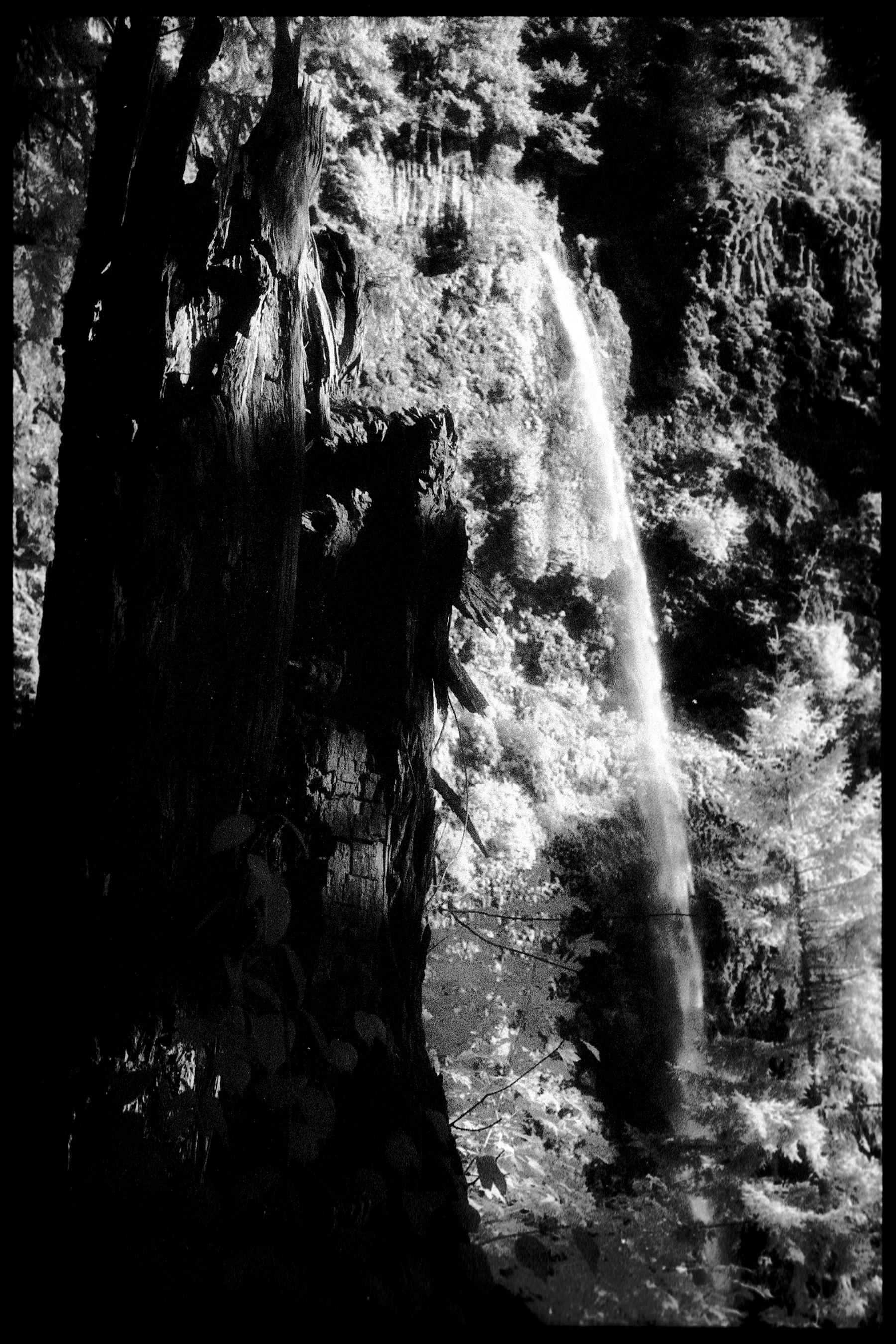 Edward Alfano Black and White Photograph - Multnomah Falls I - Black & White Photograph of Oregon National Park