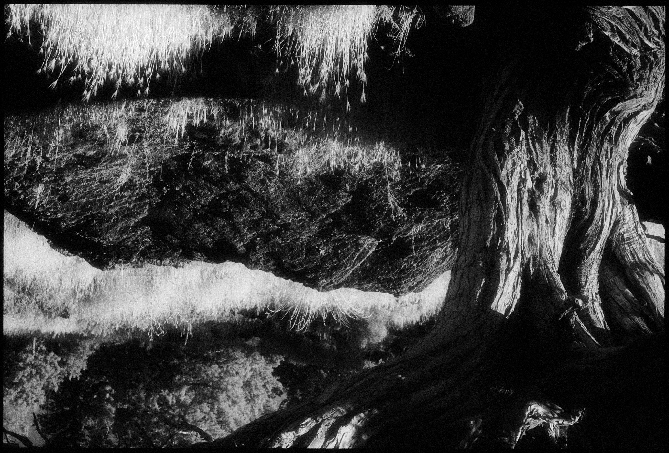 Black and White Photograph Edward Alfano - Juniper, Bend Oregon - Photographie de paysage contemporain d'un étang (noir et blanc) 