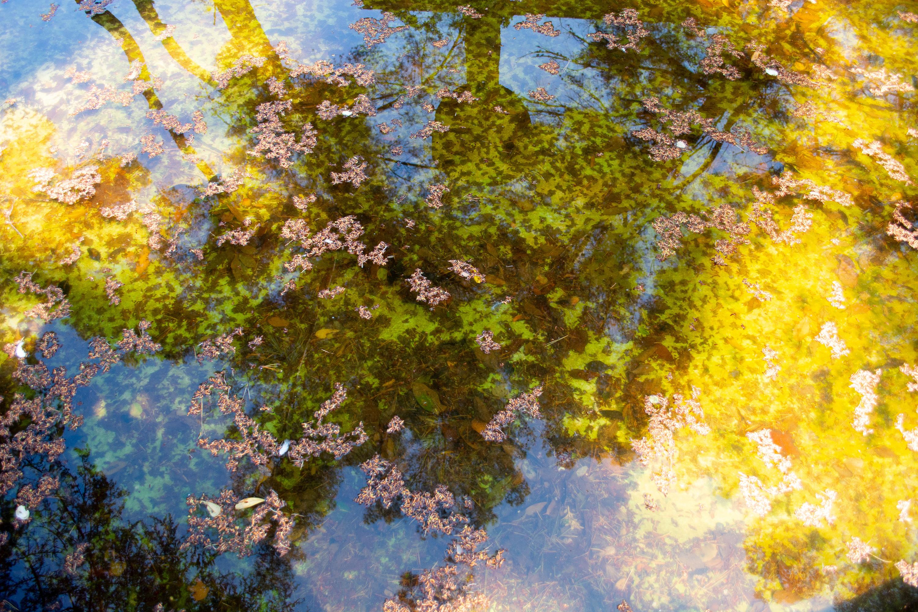 Reflection No. 3- Abstract Landscape Photograph in Yellow+Blue+Purple  (1/5)