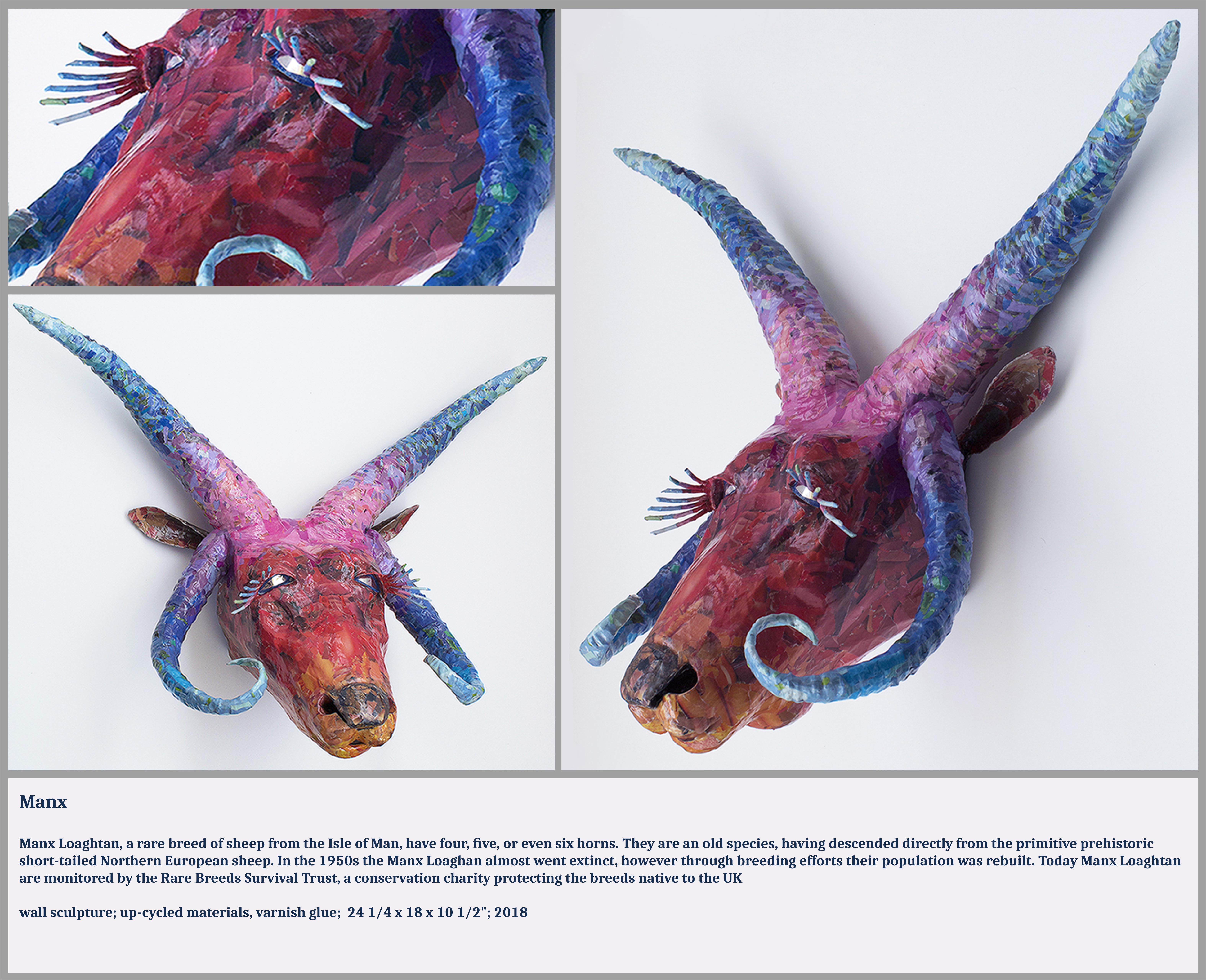 Manx - Bunte und verspielte Skulptur von vom Aussterben bedrohten Tierexemplaren in Lila + Rot im Angebot 1