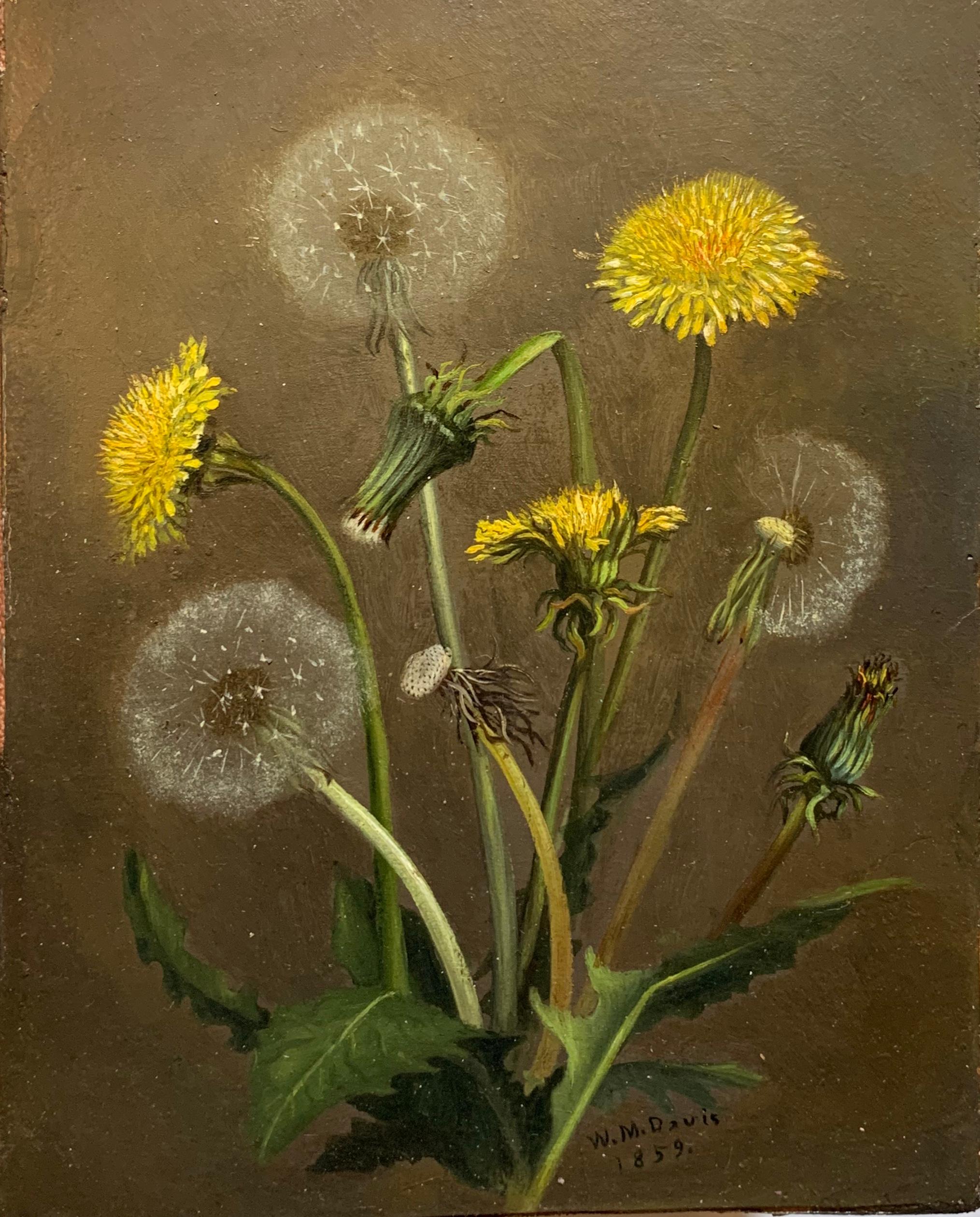 William Moore Davis Still-Life Painting - Early 1859 American Realist Still Life Thistles and Dandelions