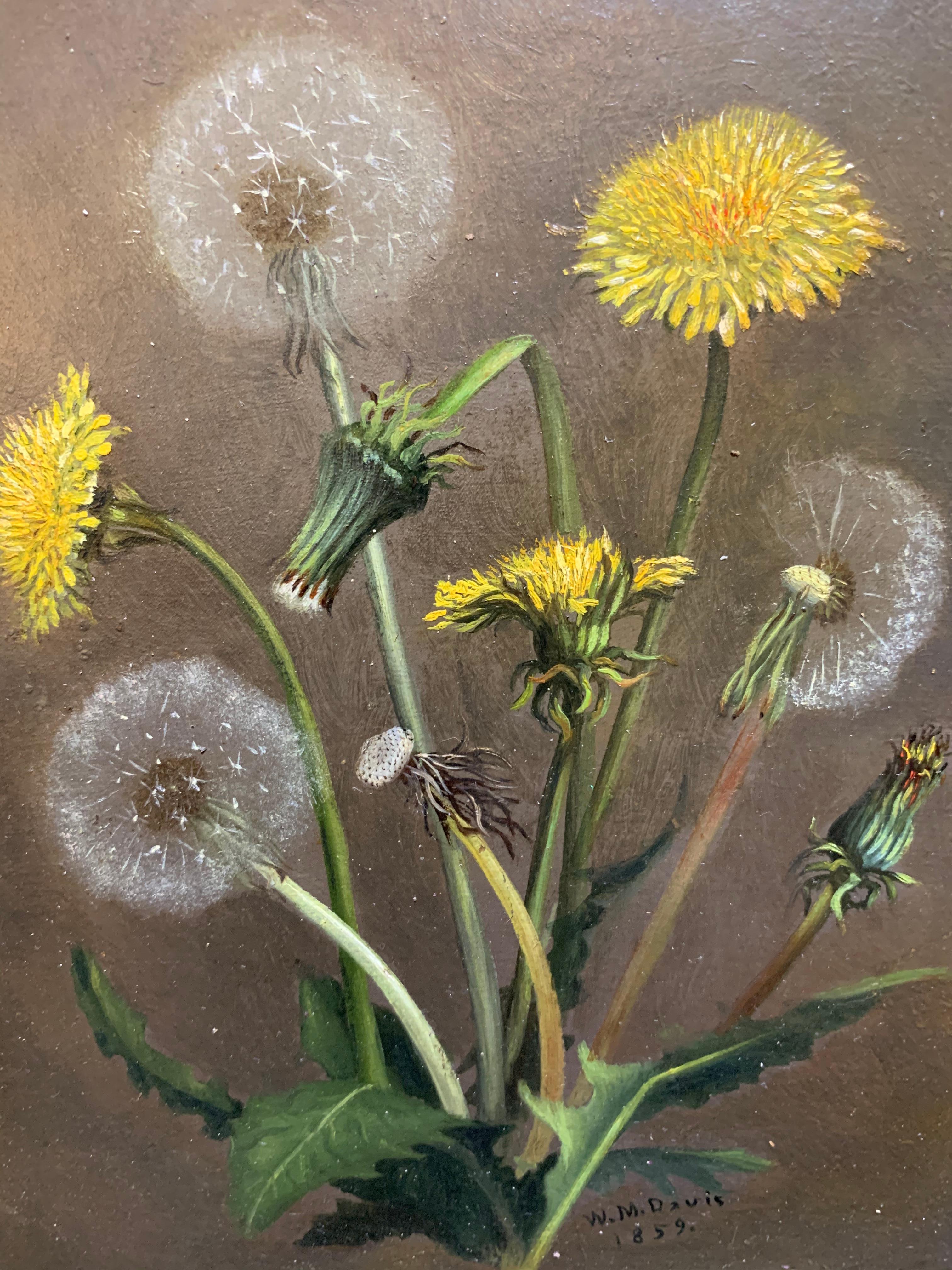 An 1859 one of a kind William Moore Davis (1829-1920) realist painting of dandelions and thistles. It is a rare painting to find that is so photo realistic in this time period. 
Painted with strong, intricate hairline brush strokes.
Signed Lower
