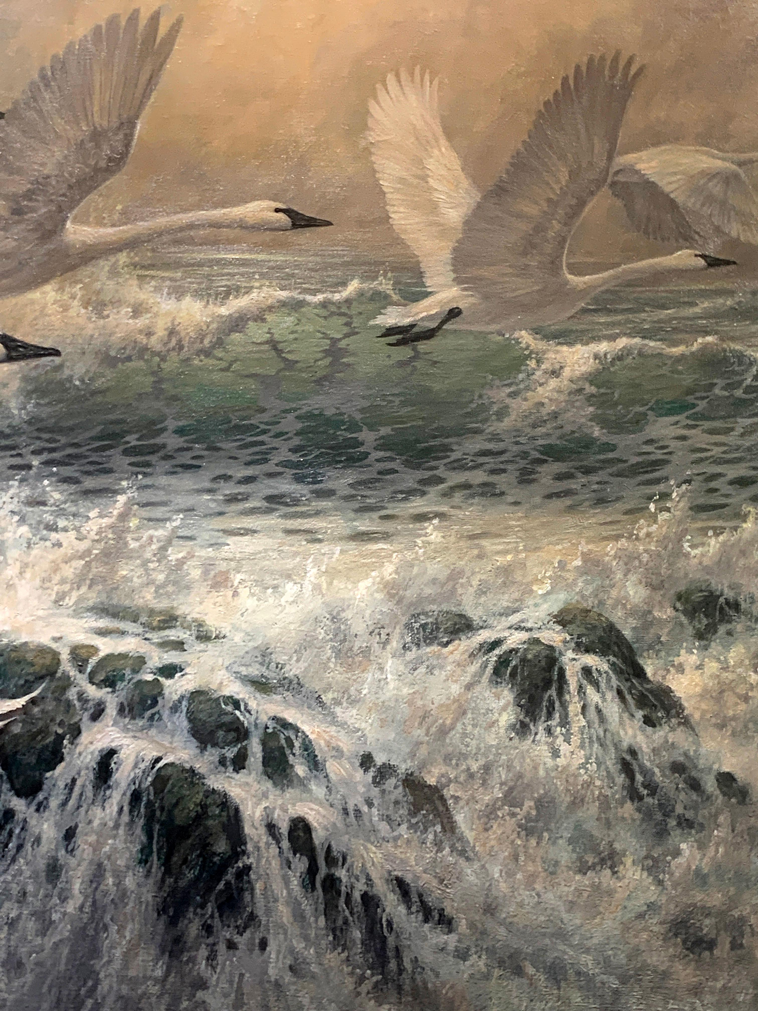 « Snow Geese », Larry Fanning, huile sur toile originale, 30 x 60, faune réaliste en vente 4