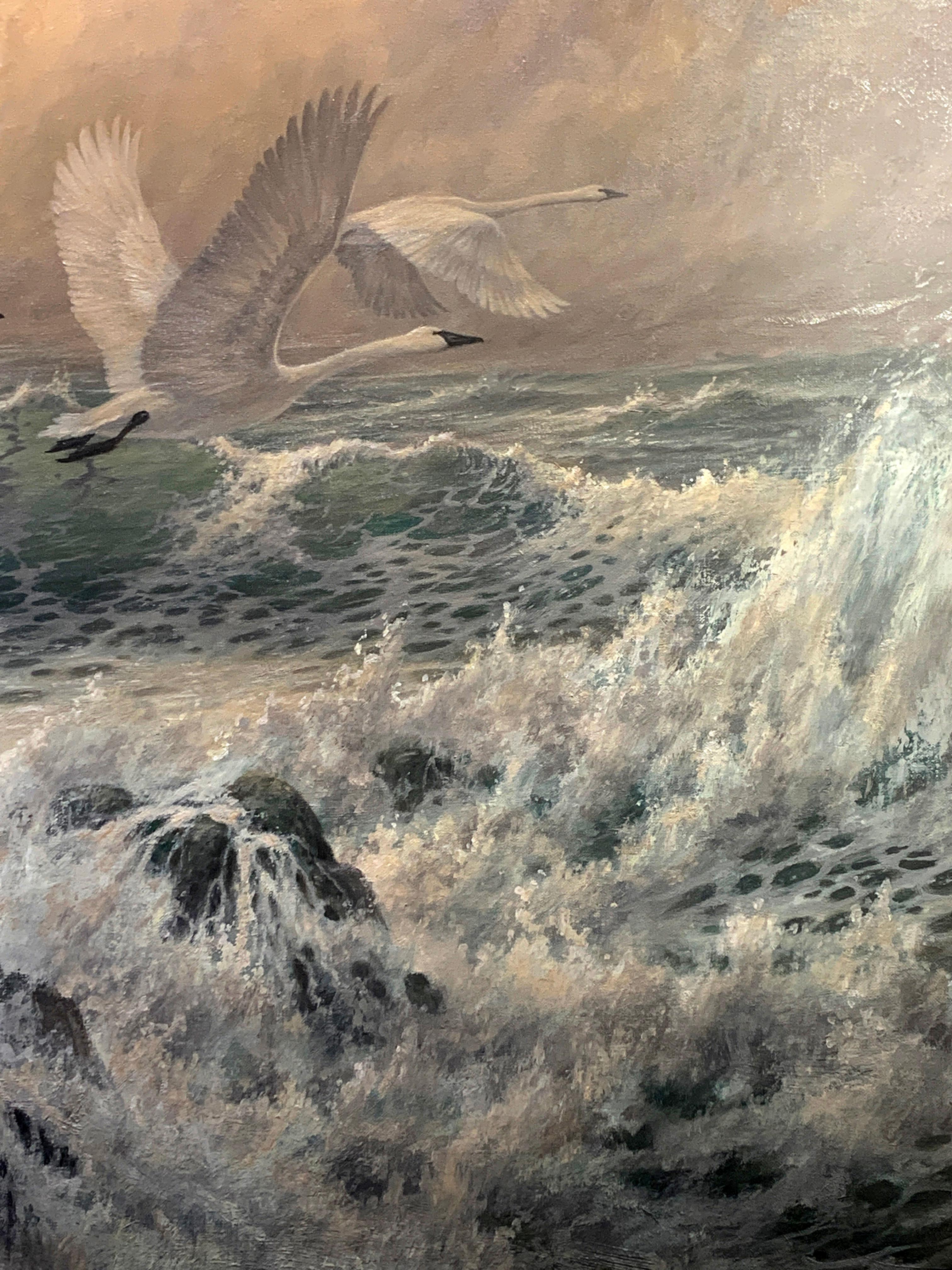 « Snow Geese », Larry Fanning, huile sur toile originale, 30 x 60, faune réaliste en vente 5