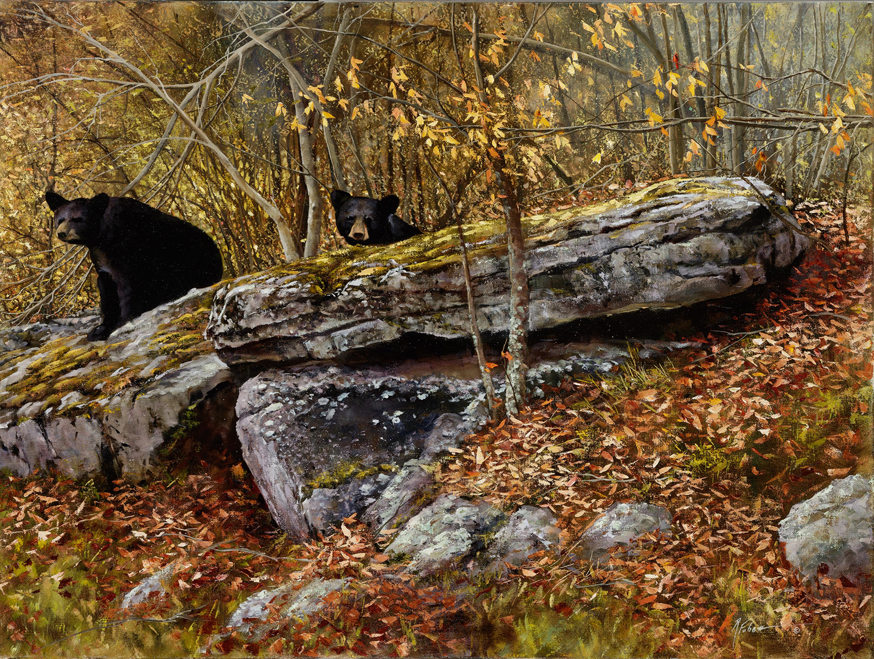 "Looking For Trouble" is an original oil on canvas and measures 36x48 inches. This realist painting is wildlife scene of of two young bears wandering through the forest. The cubs are climbing some rocks surrounded by the fallen autumn leaves.