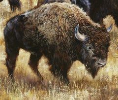 "Mighty Grazers":: Robert Fobear:: huile sur toile:: champ:: bison:: animaux sauvages