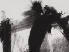 PETER WISE "Untitled" charcoal black and white contemporary drawing