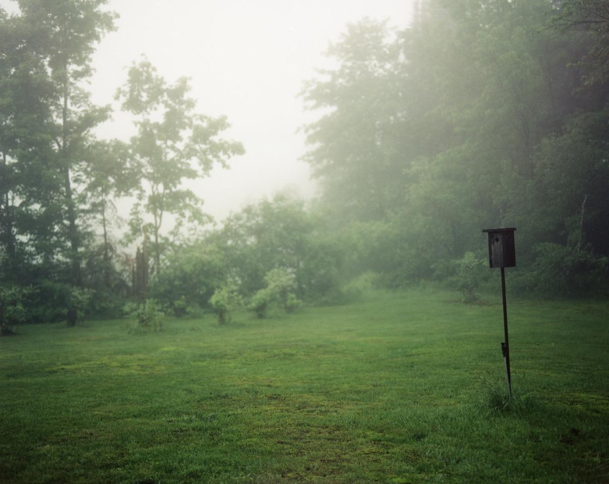 Birdhouse - Misty Landscape Photography by Karen Evans