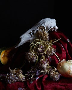 Flower Arrangement II, Original Still Life Photography, Karen Epstein