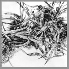 "Underfoot" (2016) di Robin Cole, disegno originale a carboncino