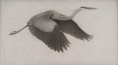 "Great Blue IV" (2024) di Lee Andre, illustrazione originale a carboncino