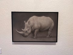 "Southern White" (2023) Illustrazione originale a carboncino fotorealista