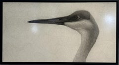 "Sandhill Crane" (2025) Original Photorealist Charcoal Illustration