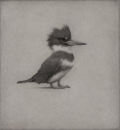 "Kingfisher" (2025) Original Photorealist Animal Charcoal Illustration