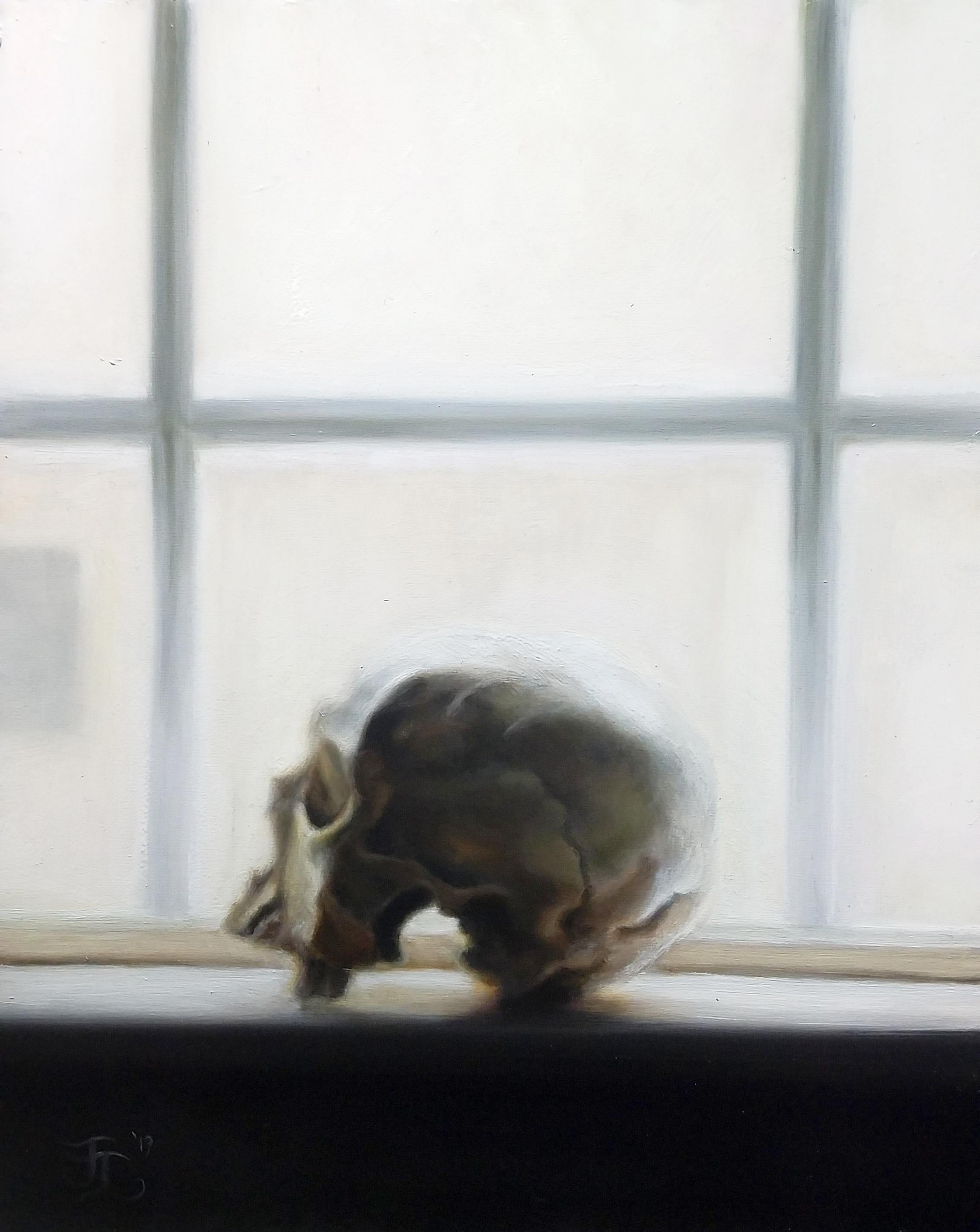 John Lally Still-Life Painting - Skull Study