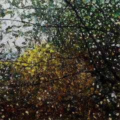 Vista dalla finestra di Sarah