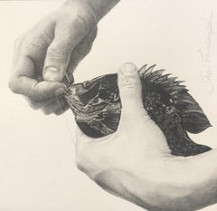 "Catch and Release" Graphite Drawing