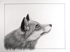 "Le cose stanno migliorando" Disegno a carboncino