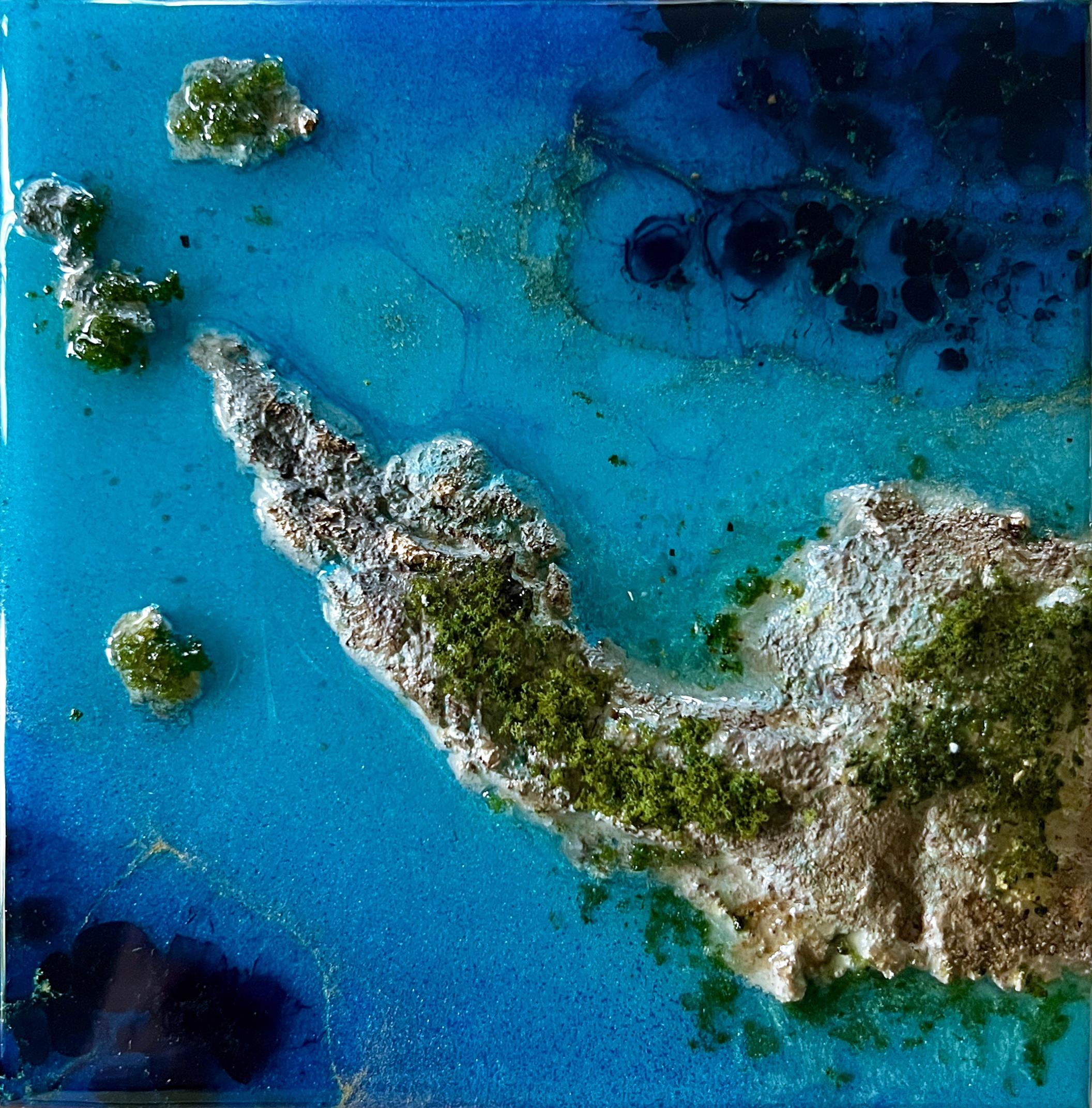 Flying Over the Ocean # 1" d'Ana Hefco (basée à Miami) est une œuvre originale réalisée à la main en résine teintée et en techniques mixtes sur panneau de bois. Cette pièce est encadrée et prête à être accrochée. 

Née et élevée à Bucarest en