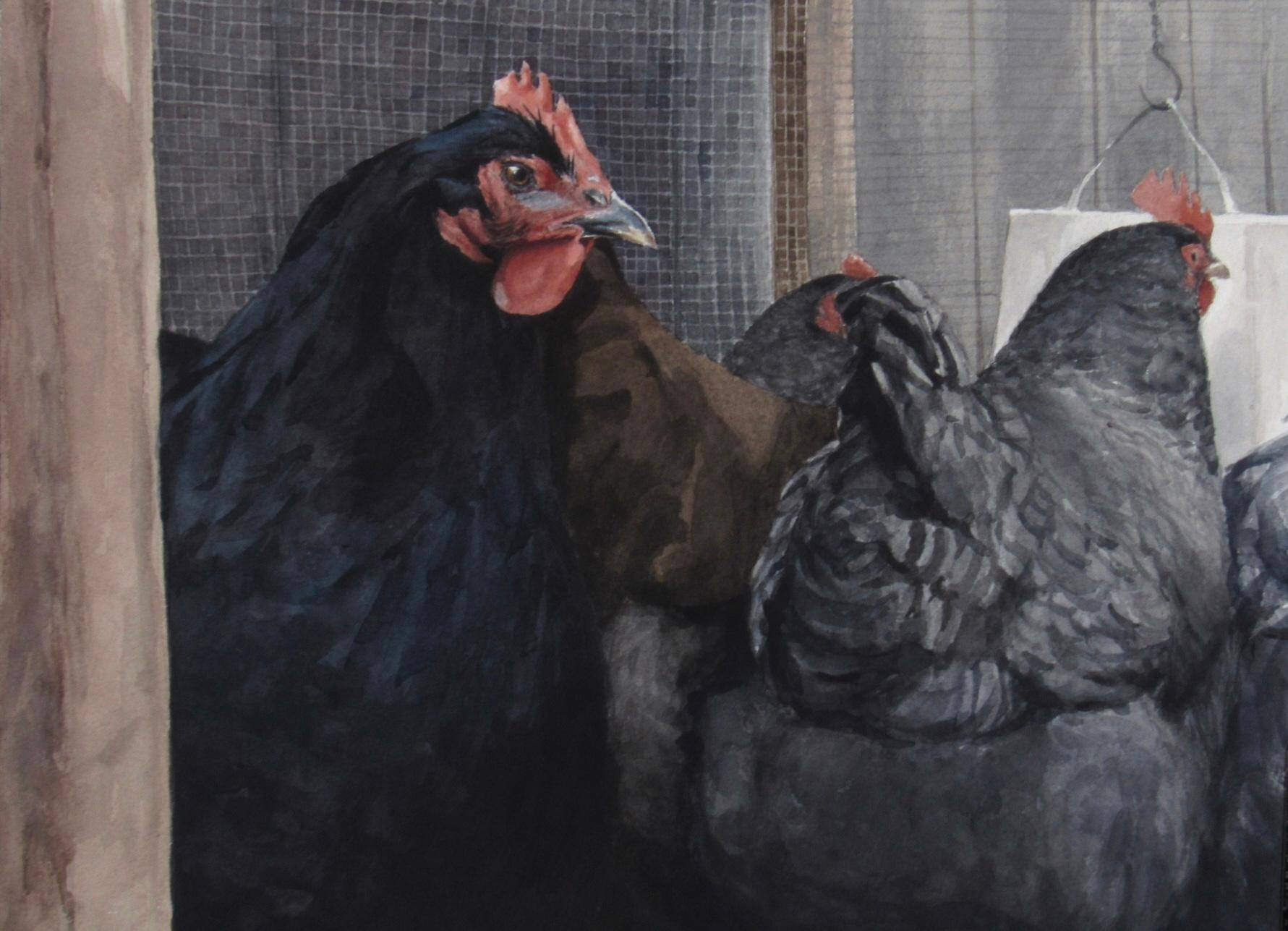 "Los proveedores" (2023) de Mo Myra es una acuarela sobre papel que representa a dos gallinas sentadas en un gallinero.

Mo Myra, nacida en 1990, es una artista afincada en Connecticut célebre por sus pinturas en acuarela plein-air. Su pasión por