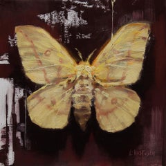 Yellow Imperial Moth, Oil painting