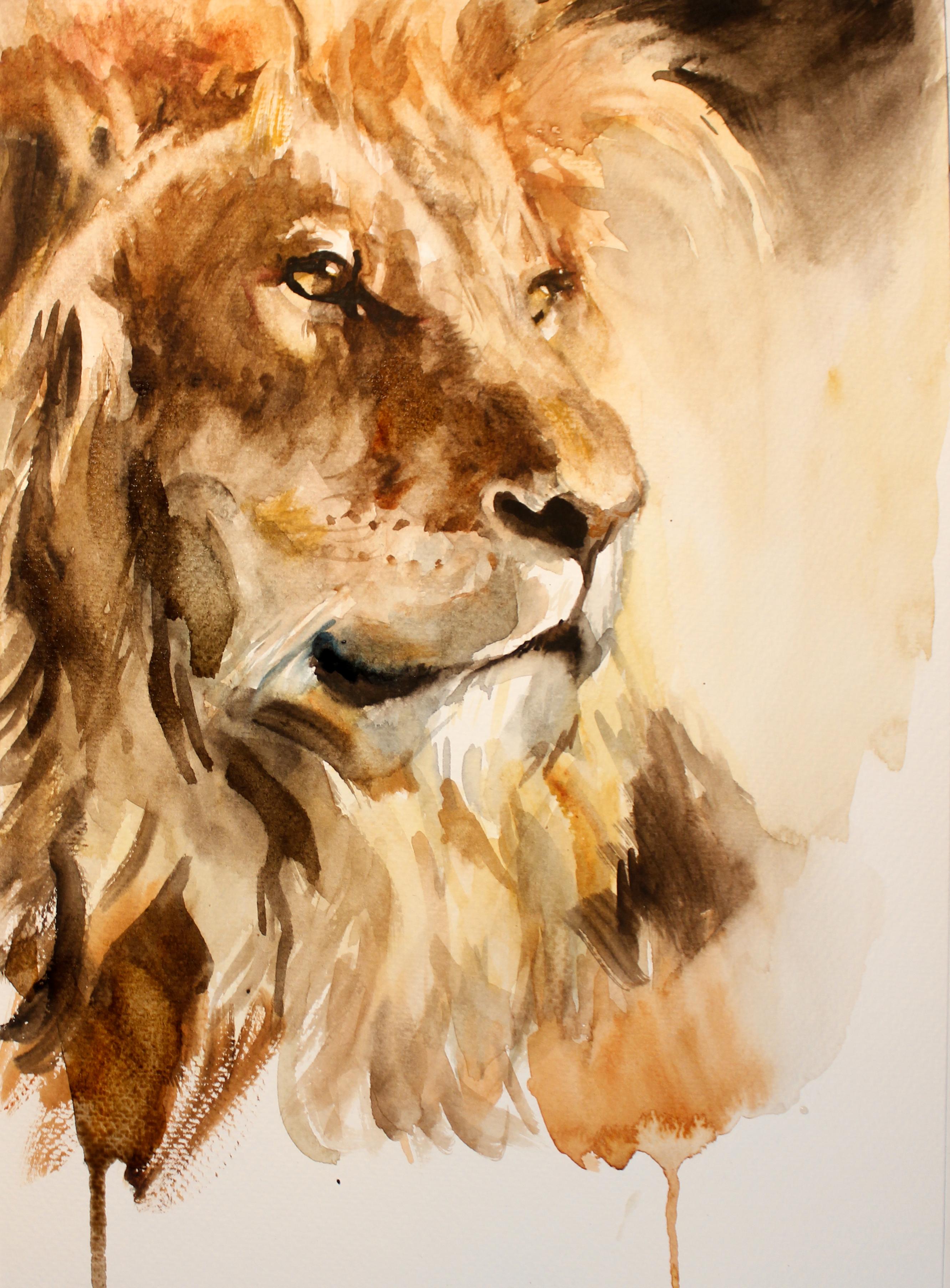 Michele Bajona Animal Art - "Lion" Watercolor Painting