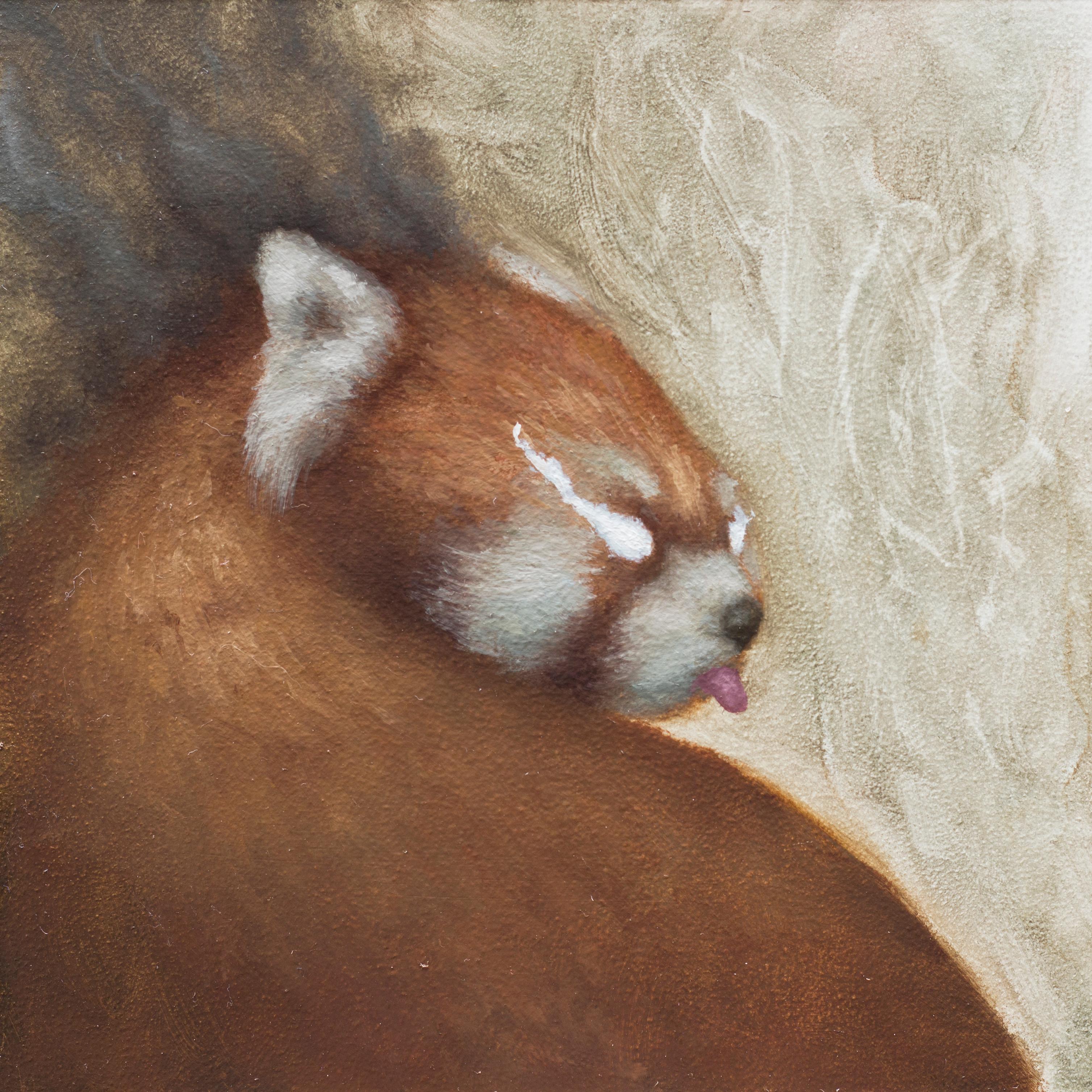Cody Jimenez Animal Painting - "Smokey Red Panda" Oil Painting
