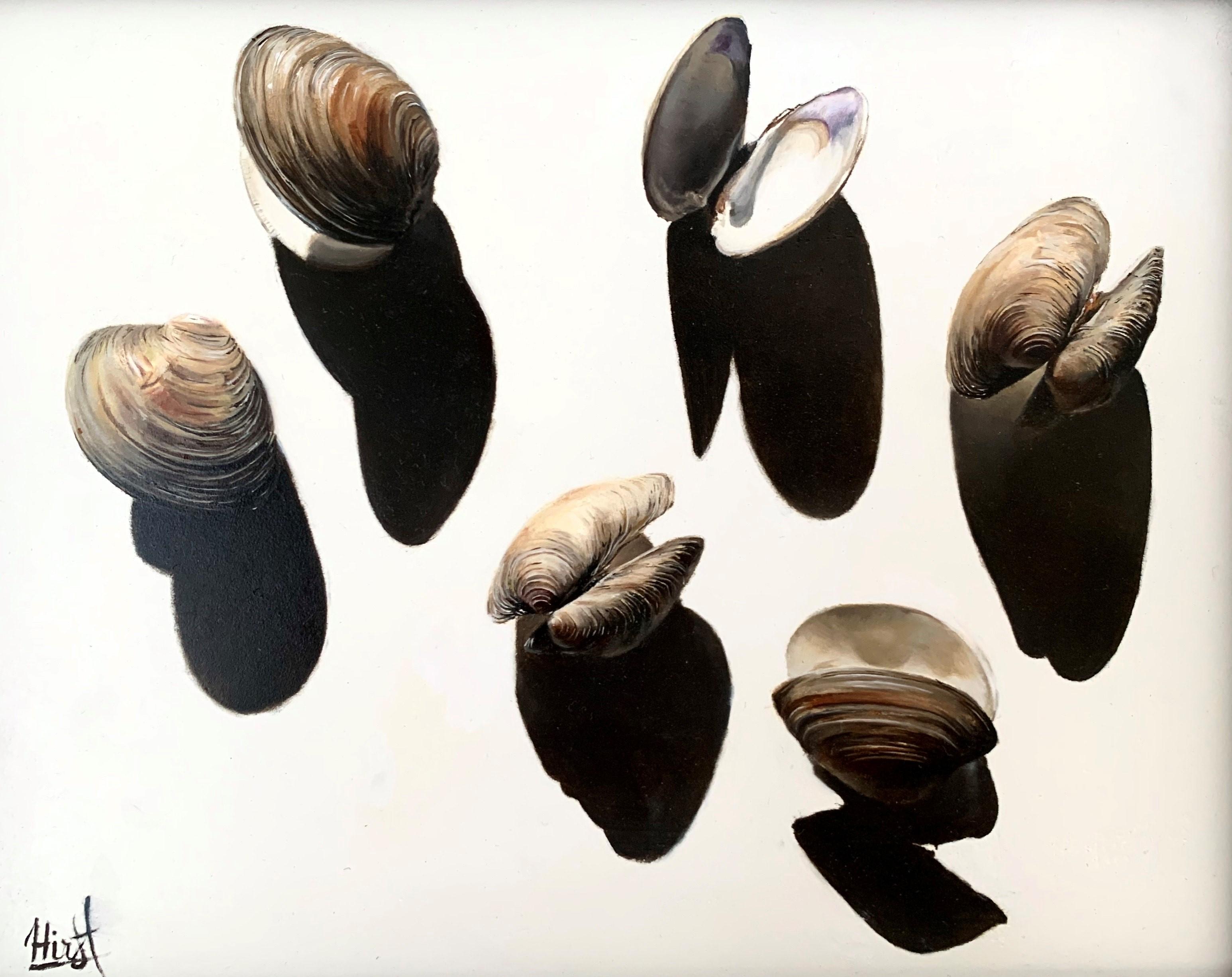 Figurative Painting Emma Hirst - Peinture à l'huile «lam Shells and Their Shadows » (Coquillages et leurs ombres)