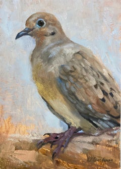 "Mourning Dove, " Oil Painting