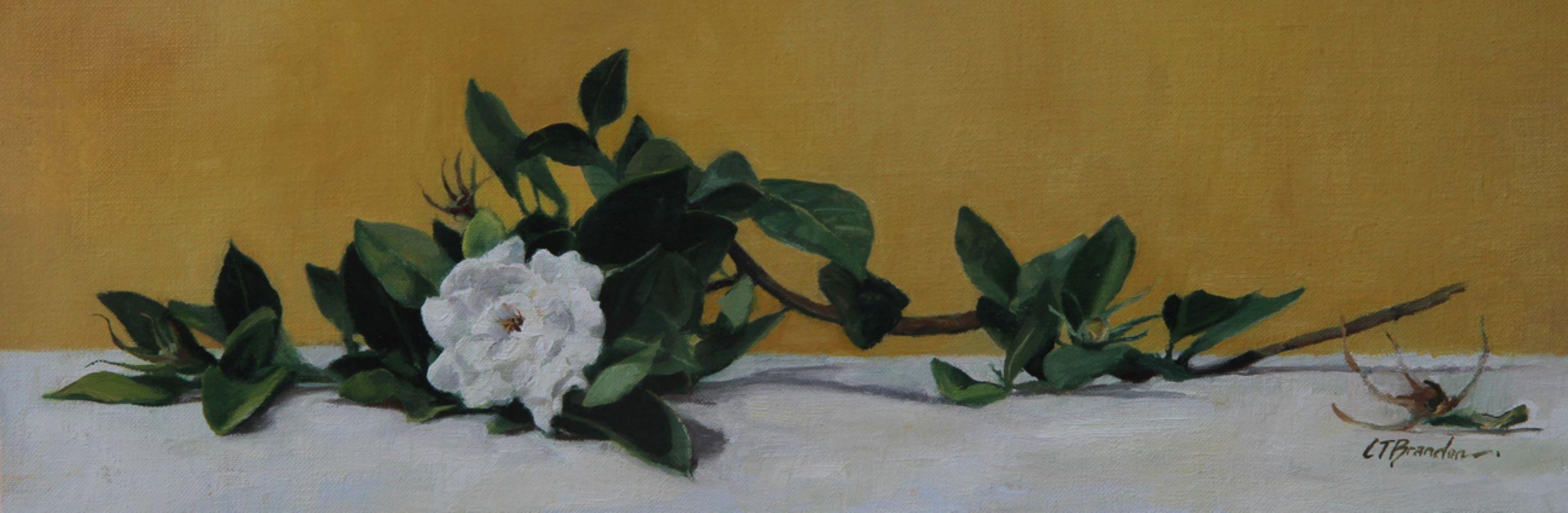 Linda Tracey Brandon Still-Life Painting - "Gardenia on Her Side, " Oil Painting