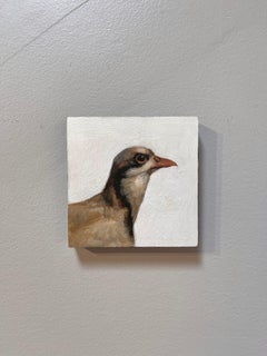 "Chukar Partridge, " Oil Painting