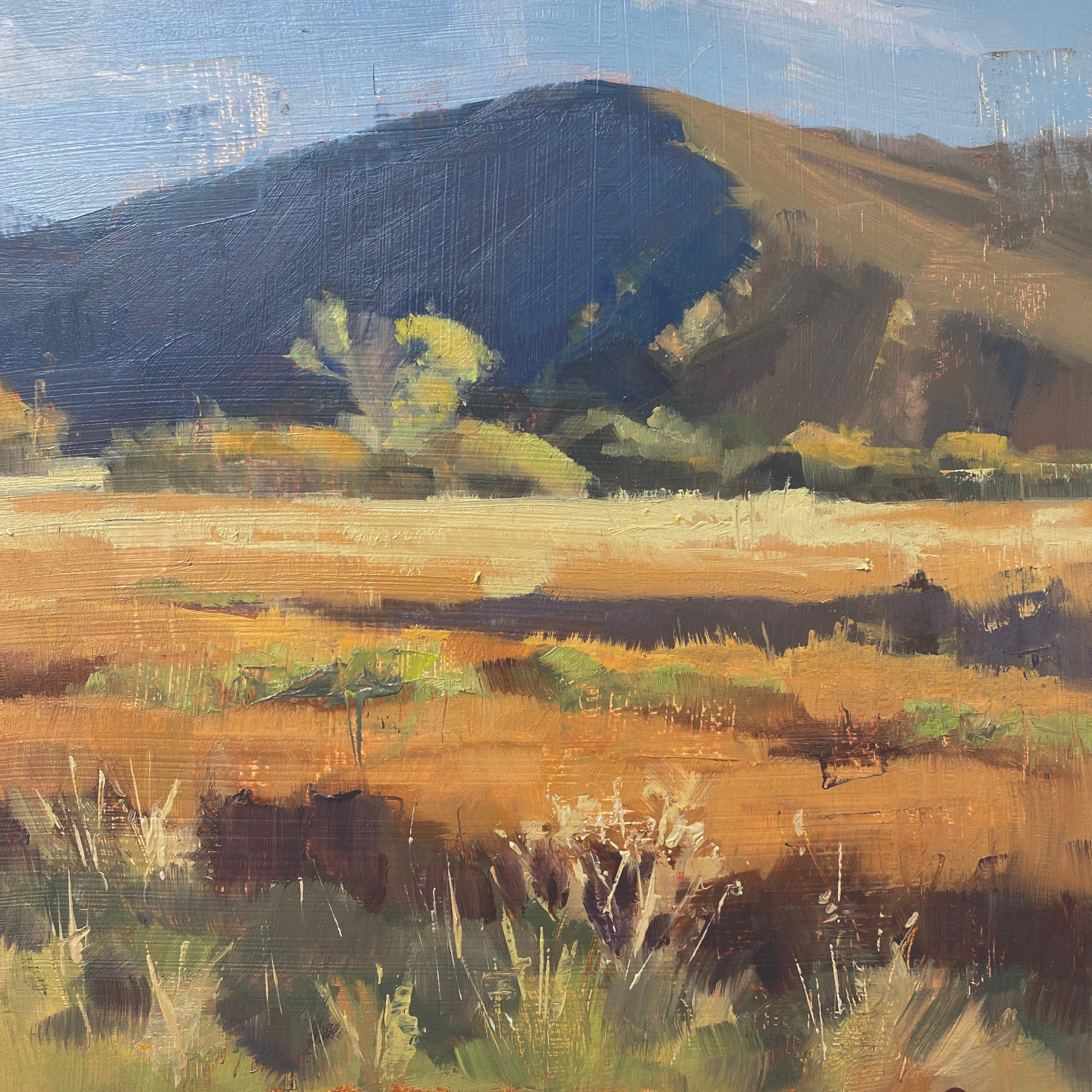 Judd Mercer Landscape Painting - "Fall Grass" Oil Painting