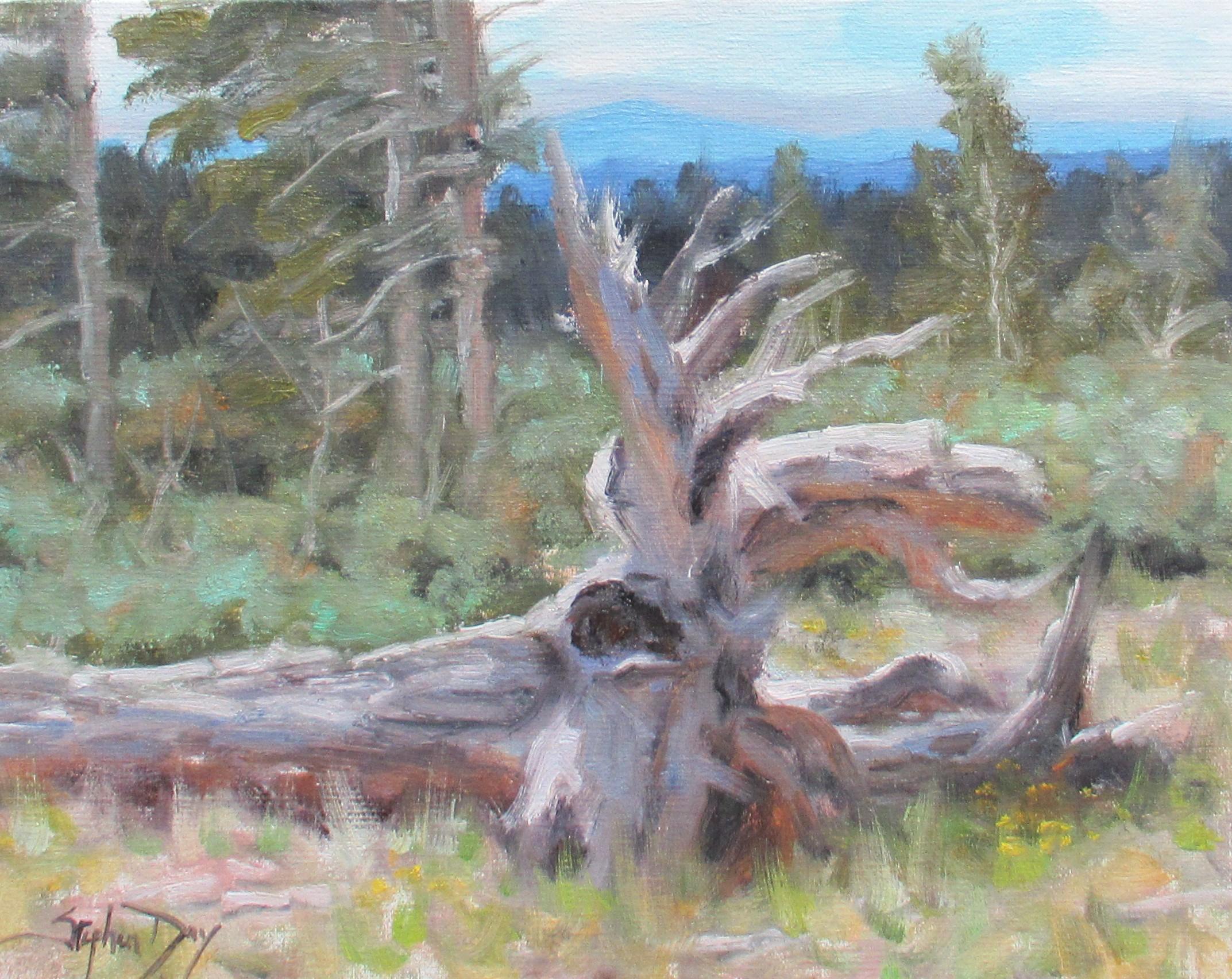 Stephen Day Figurative Painting - "Fallen Timbers" Oil Painting