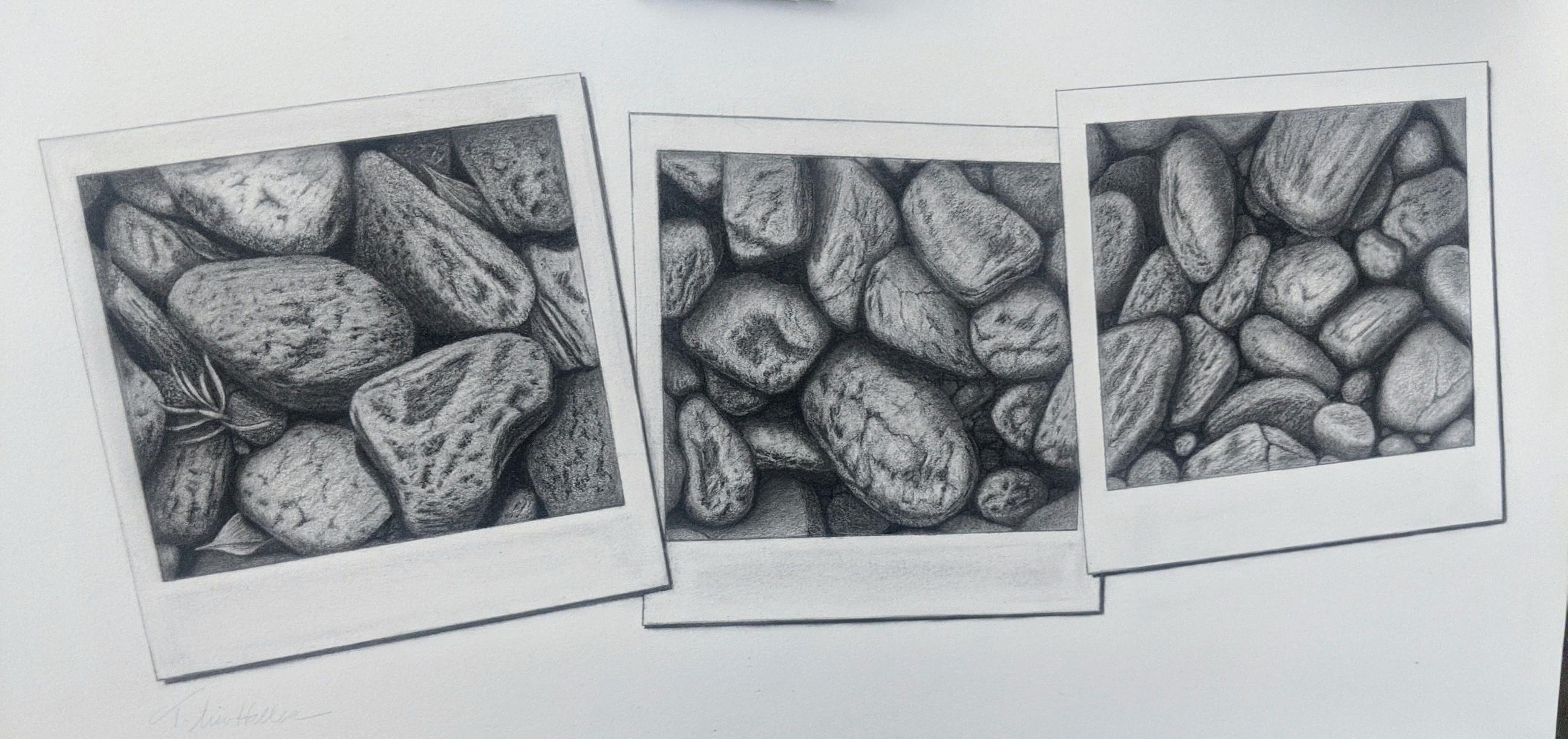 Tammy Liu-Haller Still-Life - "Snapshot Series #5, " Graphite & Charcoal Drawing