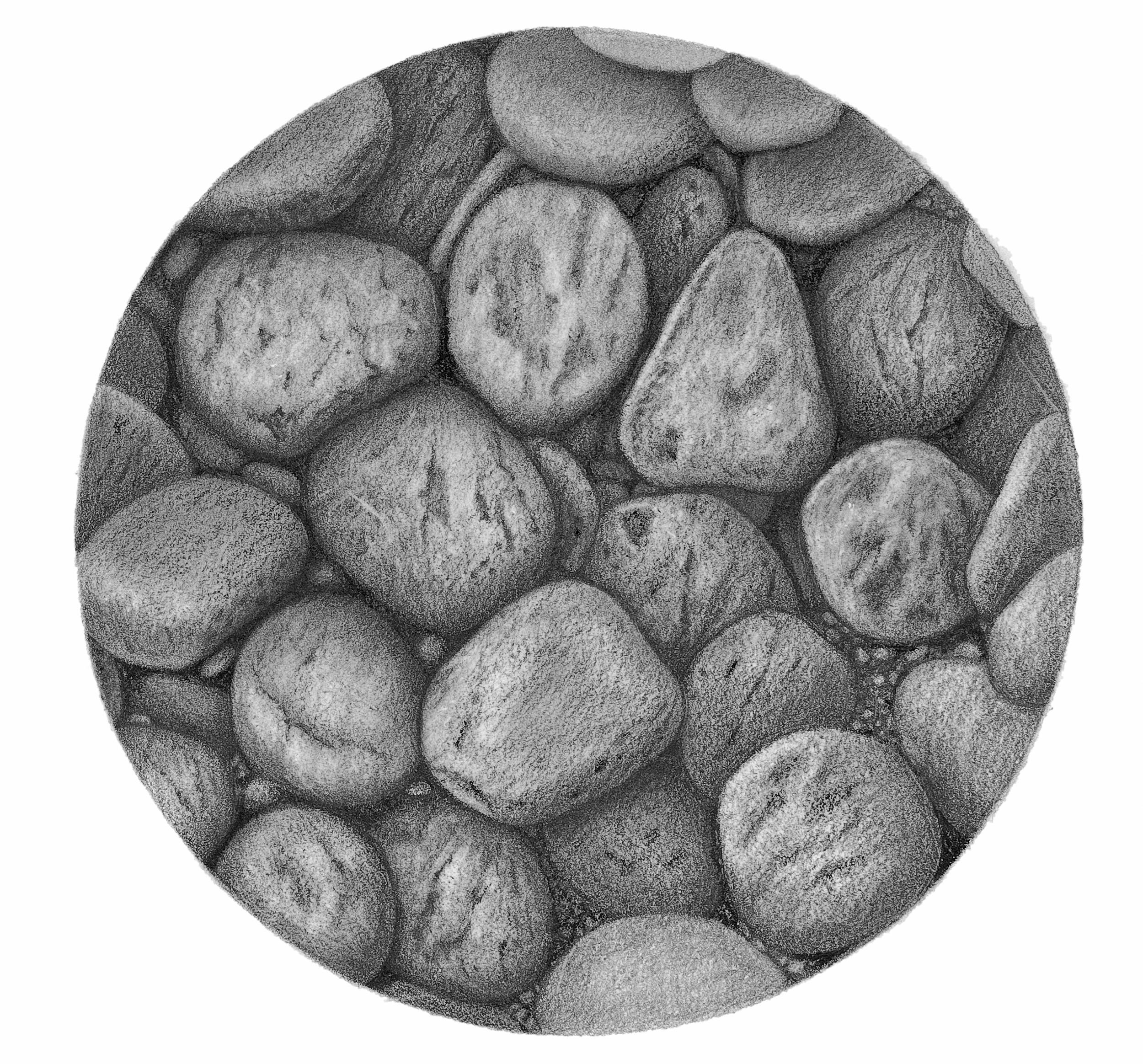Tammy Liu-Haller Still-Life - "River Rocks 2, " Graphite & Charcoal Drawing
