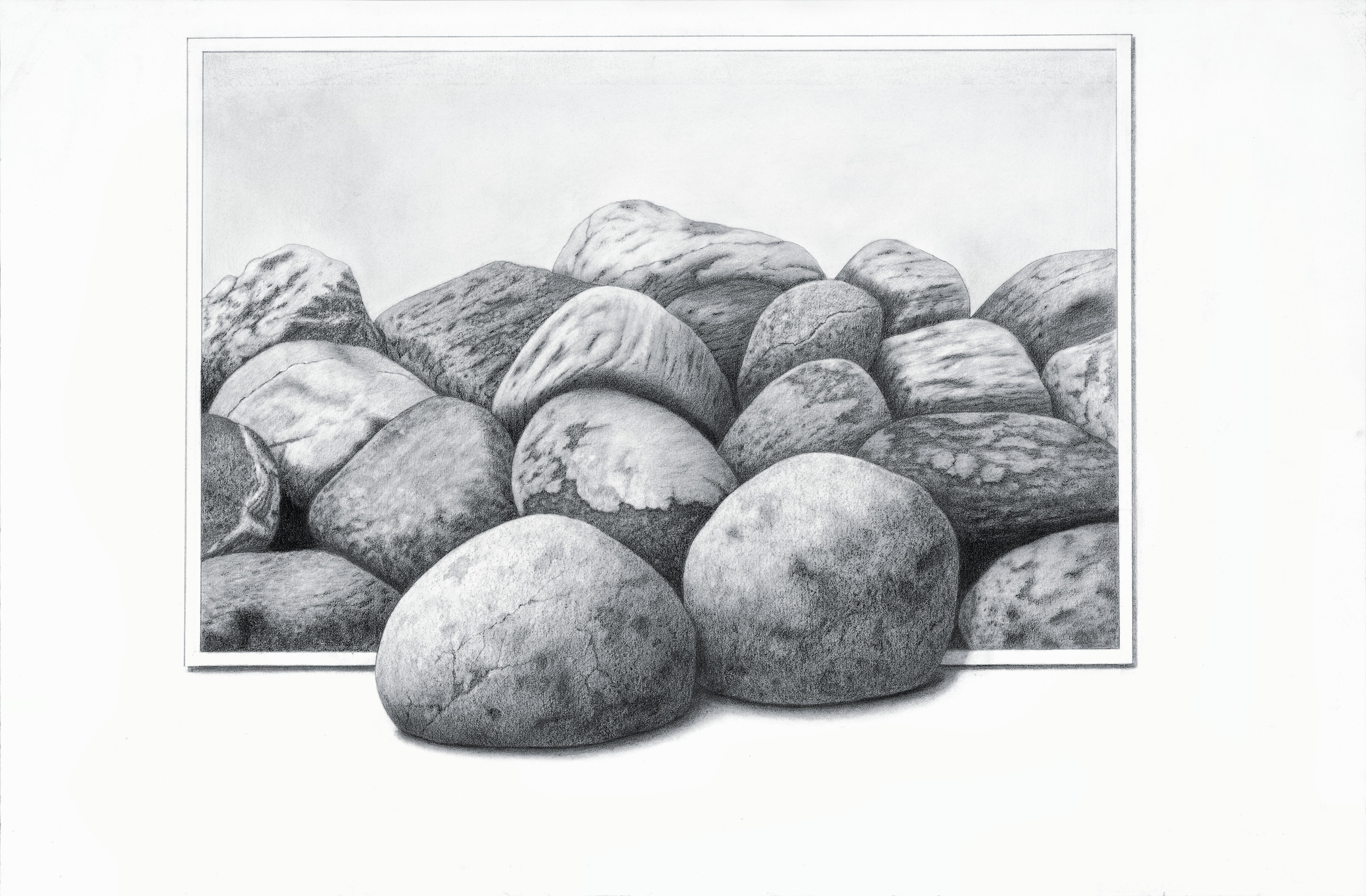 Tammy Liu-Haller Still-Life - "Memories from the Riverbank, " Graphite & Charcoal Drawing
