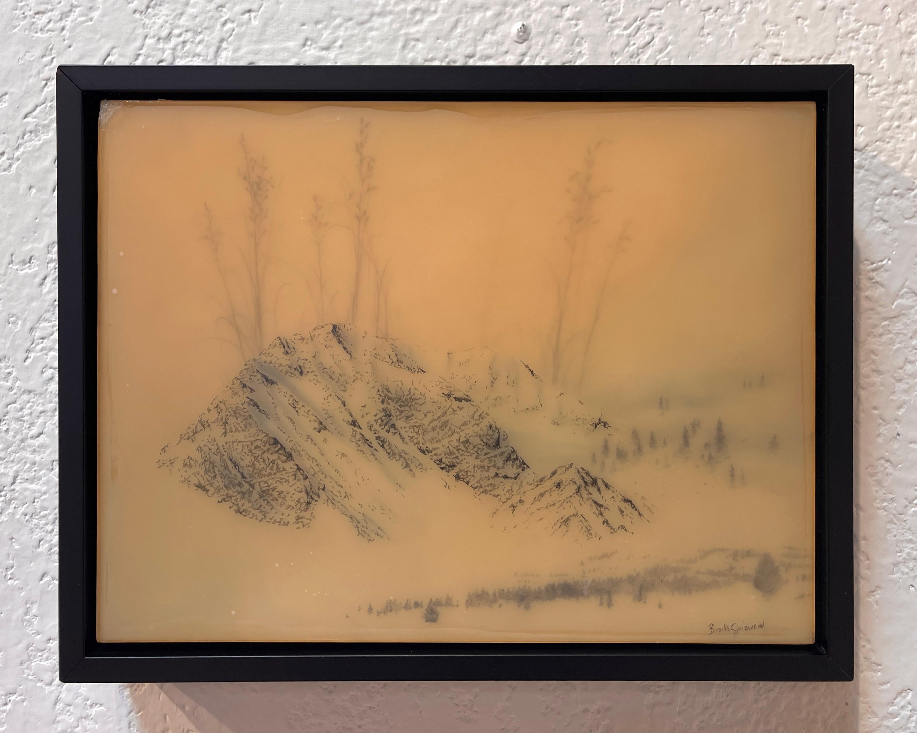 Grasse longue et montagne bleue - Réalisme Art par Brooks Salzwedel