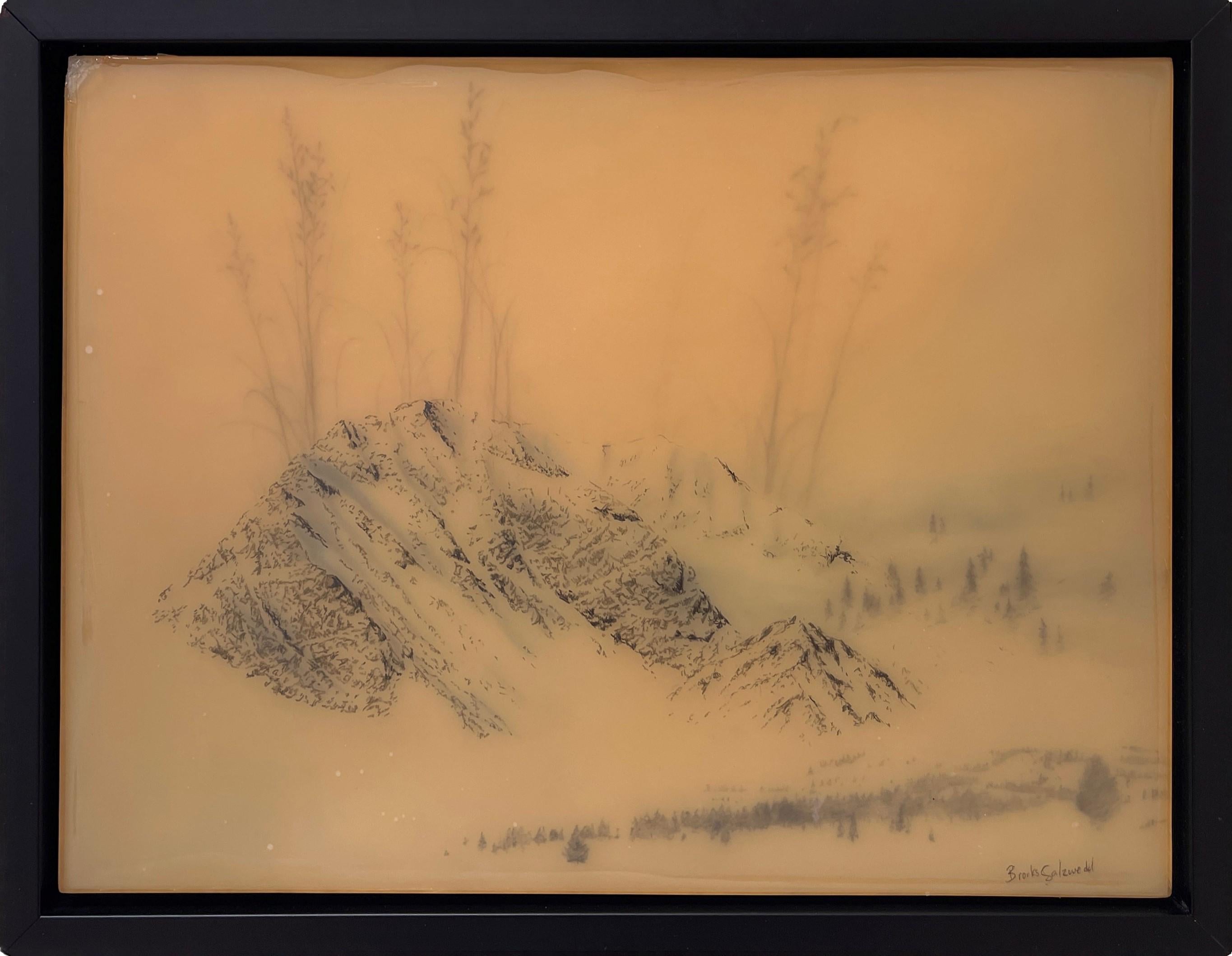 Grasse longue et montagne bleue en vente 3