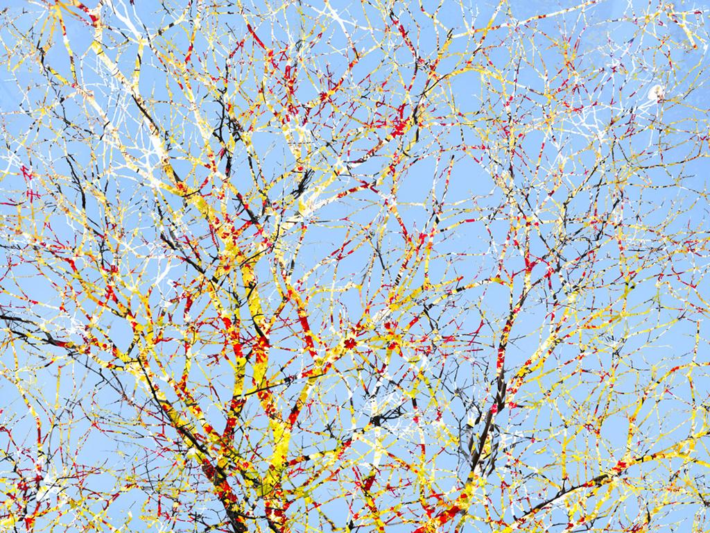 David Reinfeld Abstract Photograph - Feynman's Notes 45 - Blue & yellow digital collage tree, sky & nature abstract