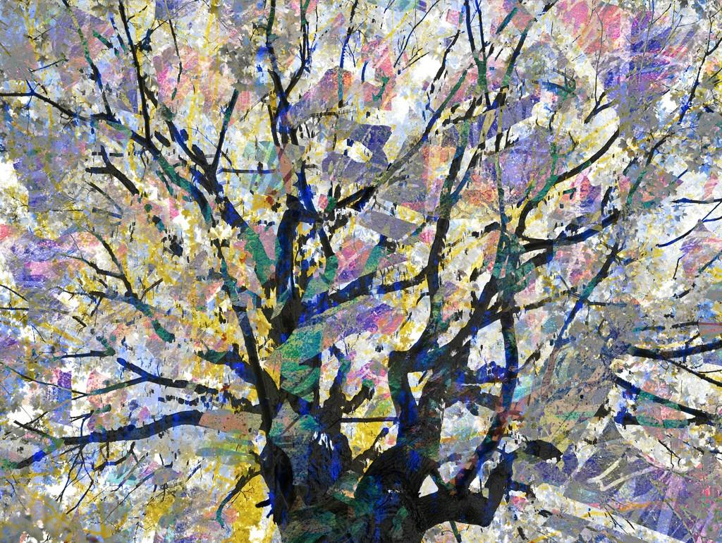 David Reinfeld Abstract Photograph - Feynman's Notes 1 - Multicolored, digital composite tree & nature abstract