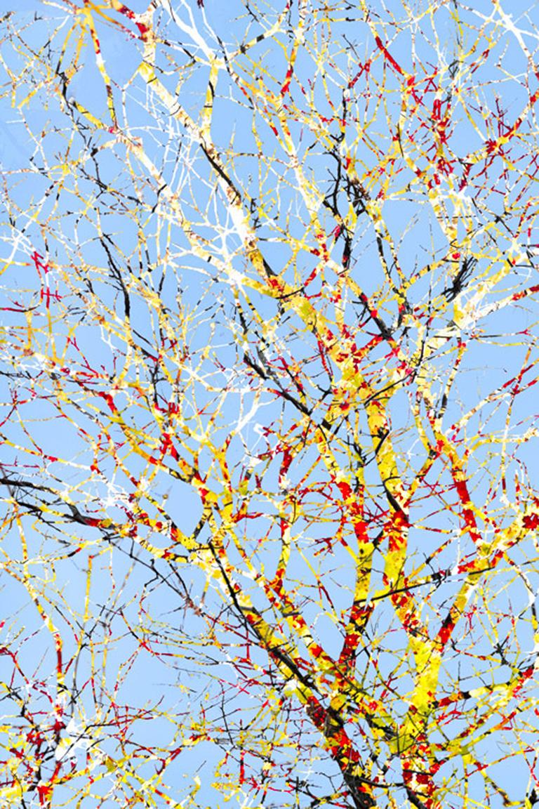 Feynman's Notes 45 - Blue & yellow digital collage tree, sky & nature abstract - Photograph by David Reinfeld