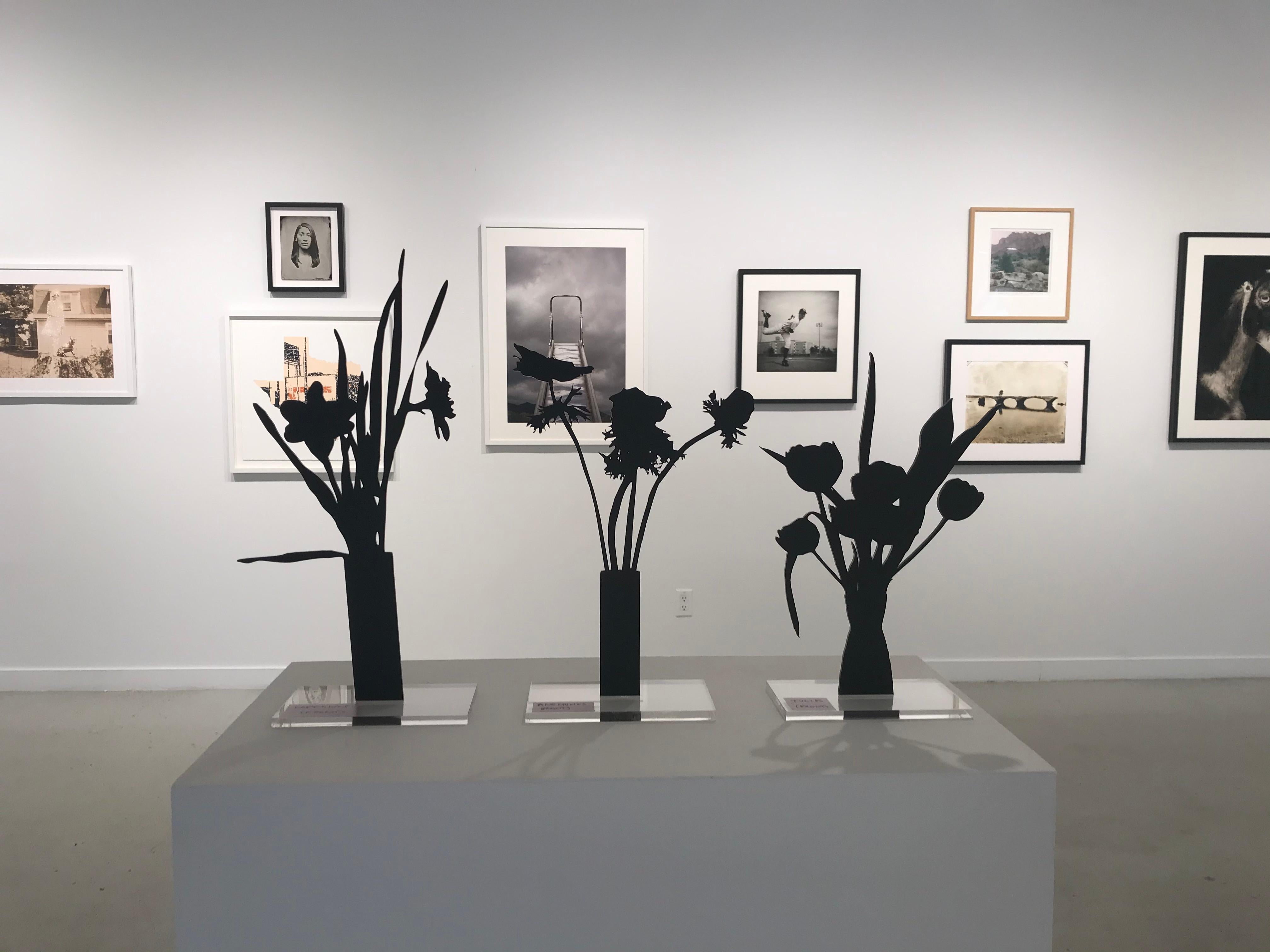 Wild Daffodils - Floral black shadow flower bouquet sculpture - Contemporary Sculpture by Joana P. Cardozo