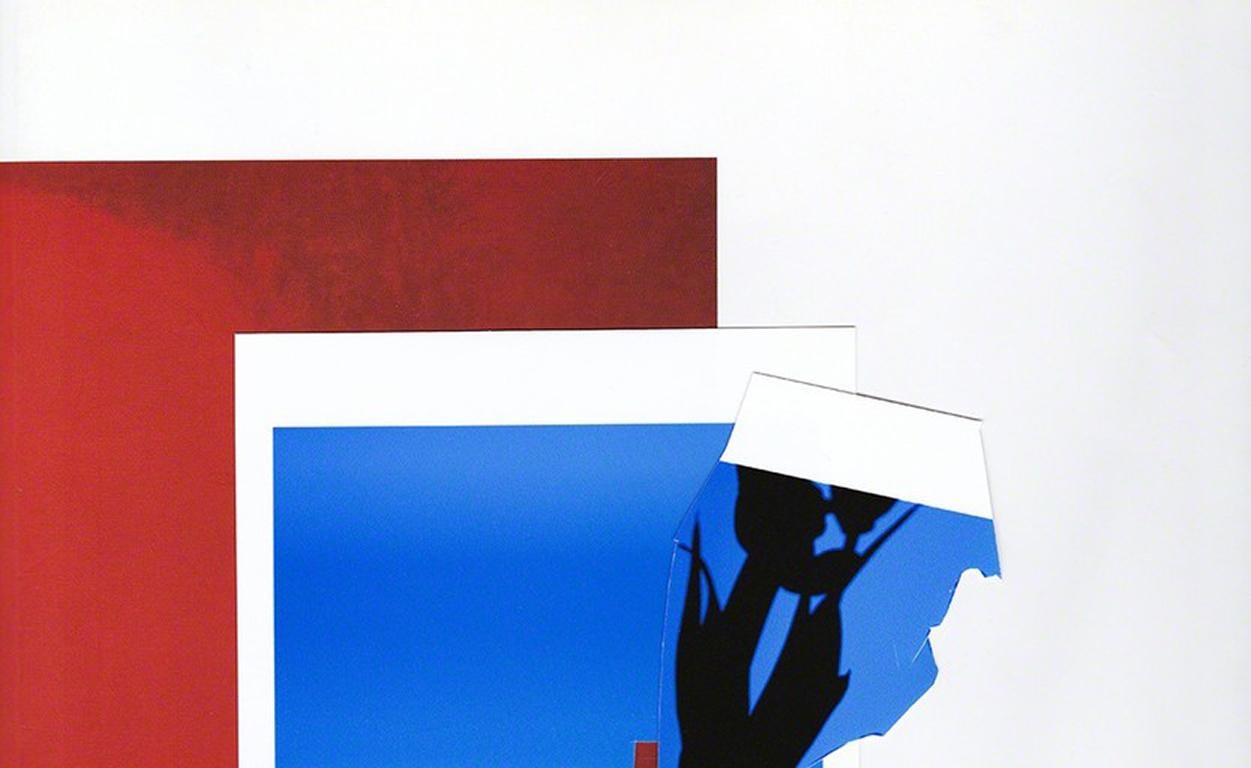 Colagem #1 - Red, white, blue & black abstract cut-out minimalist collage - Photograph by Joana P. Cardozo