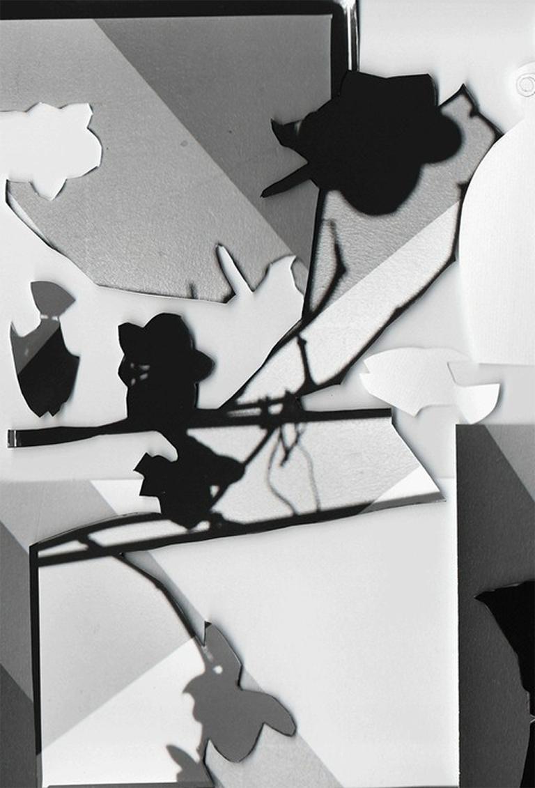 Recorte #1 - Black, gray, & white abstract cut-out collage w/ Bialetti & flowers - Photograph by Joana P. Cardozo